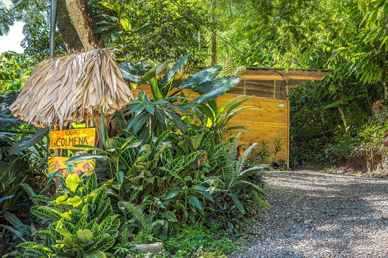 Bee Happy Studio Cahuita Eksteriør bilde